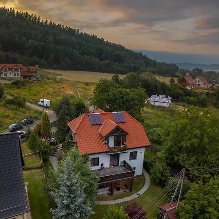 Orle Gniazdo Проживание в семье *