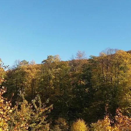 Orle Gniazdo Homestay szállás *