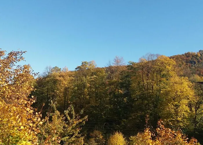 Orle Gniazdo Проживание в семье *